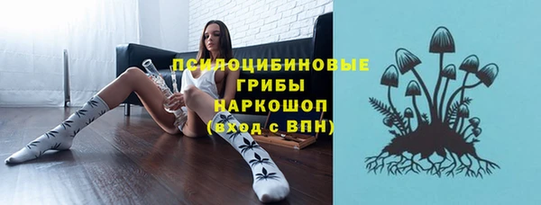 дмт Надым