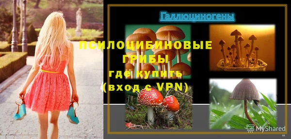 ешки Новозыбков