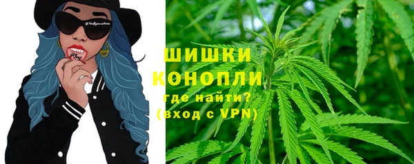 дурь Нея