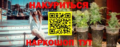 хмурый Гатчина