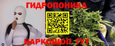 СК Гагарин