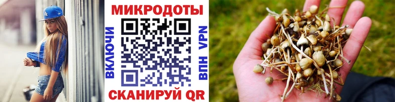 Псилоцибиновые грибы ЛСД  закладка  Зима 