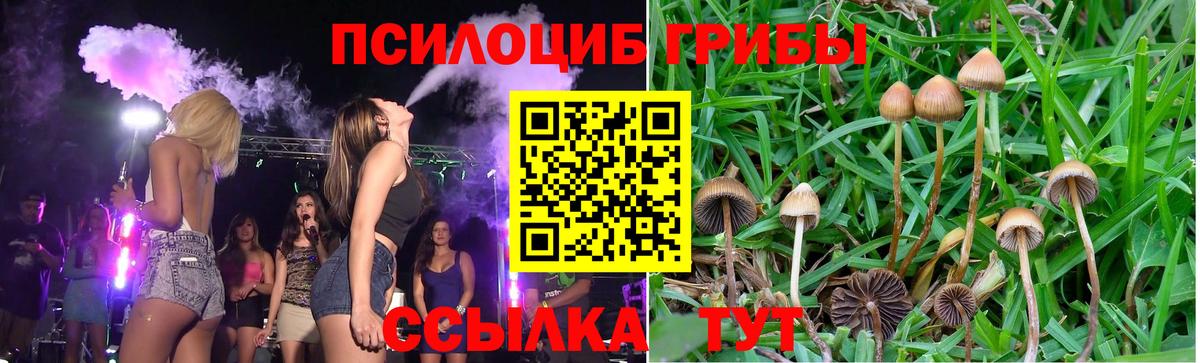 Галлюциногенные грибы Magic Shrooms  Вход с VPN  Зима  Псилоцибиновые грибы прущие грибы 